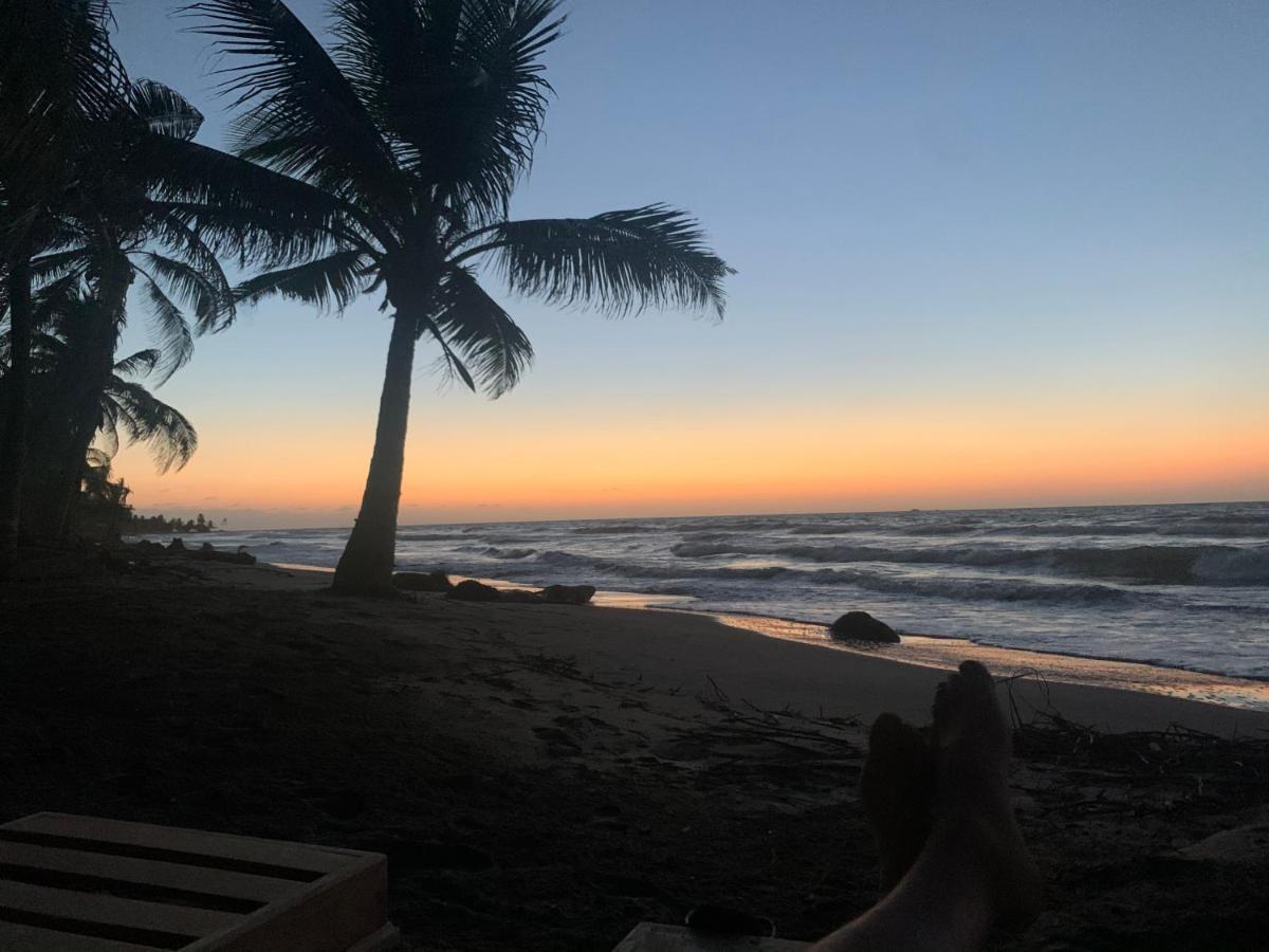 Playa Jaguar - Beach Club Monitos المظهر الخارجي الصورة